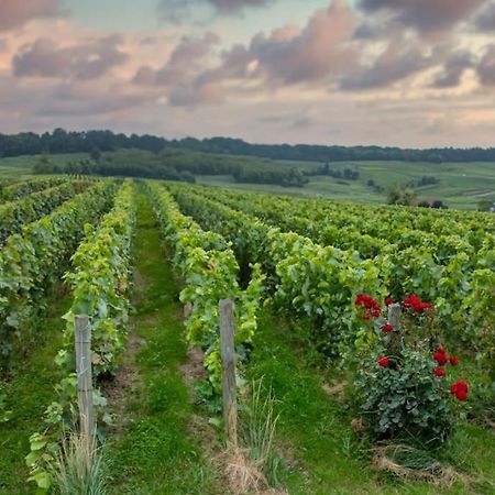 Maison De Champagne F.Barbier ! Avize エクステリア 写真